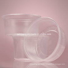 Chinese Factory OEM Clear Plastic Food Container (PP 011)